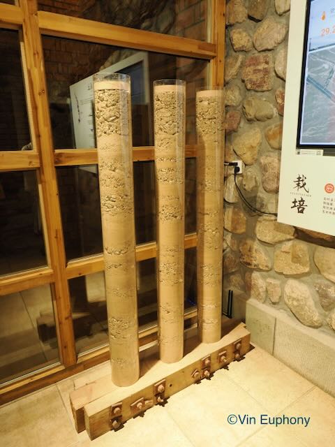 賀蘭山東麓の土壌ボーリングサンプル